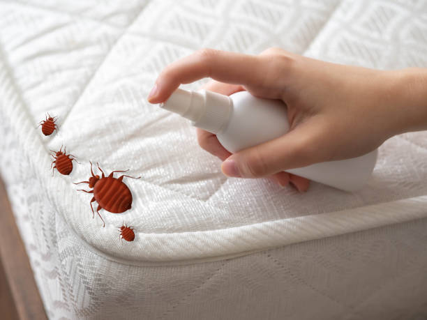 Best Pest Inspection Near Me  in Leisure Village, NJ